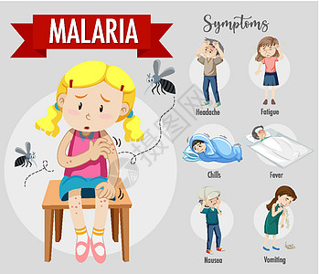 疟疾症状信息图表标识昆虫卡通片全世界卫生插图生物动物保健寄生虫图片
