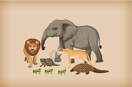 背景上的一群野生动物森林动物团体生物环境植物国王哺乳动物狮子插图图片