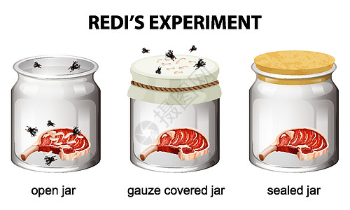 Redis教学实验图插图纱布教育夹子绘画学习卡通片科学意义食物图片