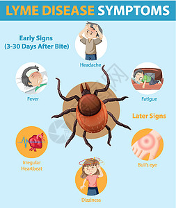 莱姆病症状信息信息图表学习发烧绘画感染卡通片教育眼睛药品疲倦框架图片