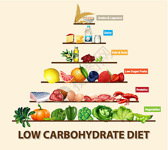 低碳水化合物饮食图学习水果信息谷物肥胖牛奶生物蔬菜图表糖类图片