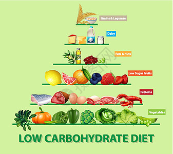 饮食金字塔低碳水化合物饮食图插图学习图表信息方案教育面包糖类碳水坚果插画