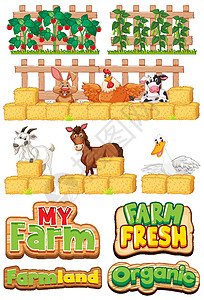 一套农场和许多农场动物的字体设计图片