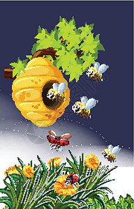 自然界中的蜜蜂和瓢虫图片