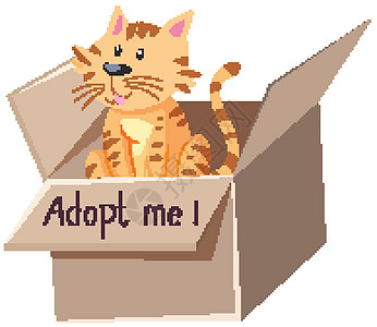 盒子里有可爱的猫或小猫 在盒子卡通隔离物上收养我的文字图片