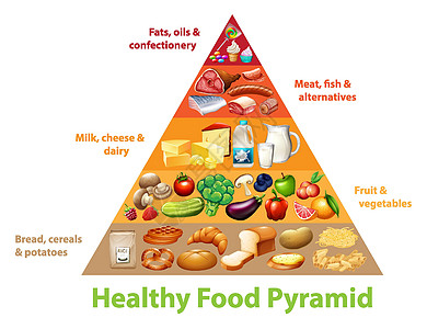 健康食品金字塔炭动物备择牛奶肥胖教育金字塔图表碳水谷物面包图片