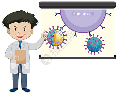 卡通风格的投影仪屏幕上有人体细胞的医生图片
