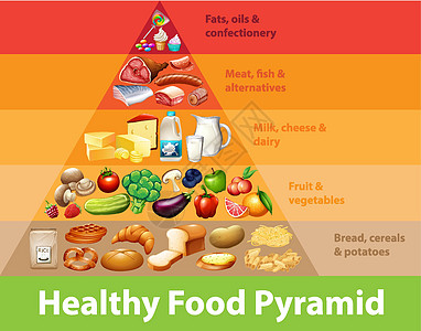健康食品金字塔炭方案插图图表糖果土豆糖类奶制品教育水果学习图片
