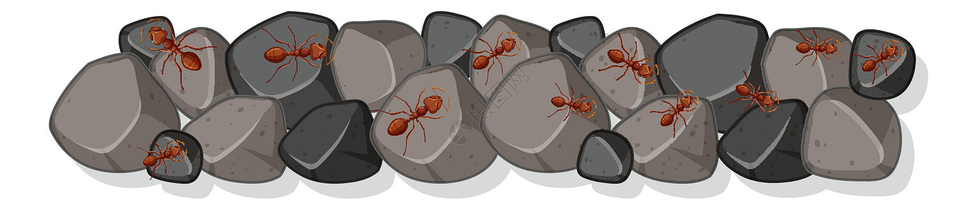 大鹏上许多蚂蚁的顶视图图片