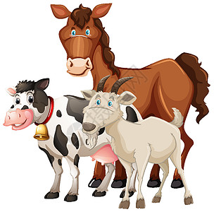 白色背景上孤立的一群农场动物马牛和羊图片
