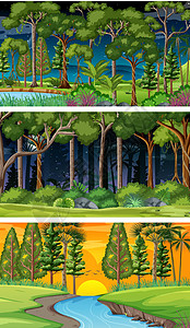 森林一组不同性质的水平场景收藏国家辉光夹子橙子风景日落团体全景艺术插画