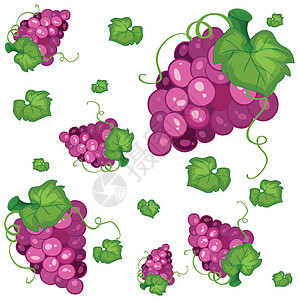 无缝背景设计与紫葡萄水果紫色插图绘画农作物环境团体食物包装空白图片