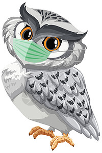 猫头鹰卡通人物穿着 mas卡通片生物面具夹子艺术飞行绘画插图动物羽毛图片
