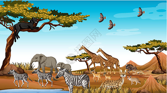 森林场景中的非洲野生动物群斑马土地卡通片食肉哺乳动物鬣狗动物风景猎人插图图片