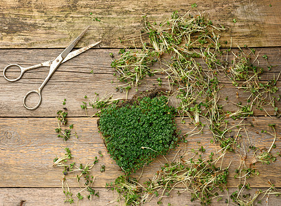 灰色木板桌边的青绿花 青蓝和芥子酱生物草本植物叶子发芽生态营养生长植物沙拉蔬菜图片