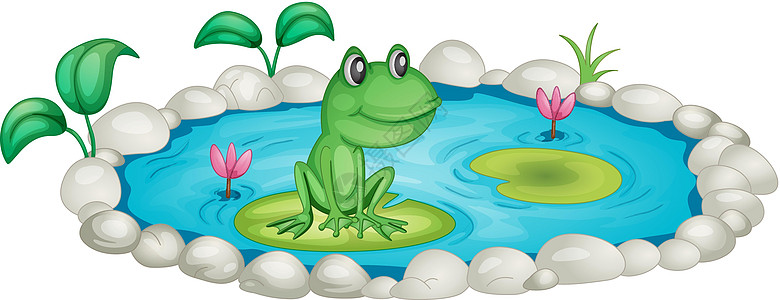 池塘中的青蛙石头波纹漂浮剪裁卡通片剪贴蓝色植物软垫两栖图片