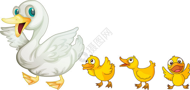 鸭子婴儿插图农场黄色领导者翅膀白色动物羽毛母亲图片
