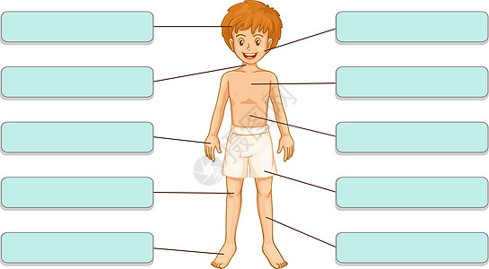 车身零件孩子男生横幅膝盖学习插图工作簿男性内衣头发图片