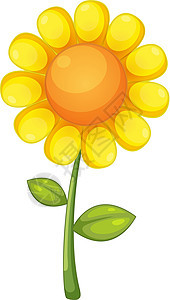 花花瓣雏菊剪贴圆形插图橙子黄色卡通片太阳背景图片