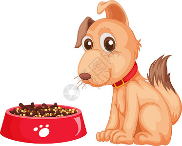 孤立的狗时间厚脸插图犬类红色喜悦干粮动物爪子哺乳动物图片