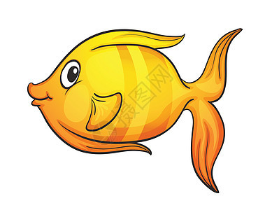 白色孤立的热带鱼游泳草图橙子钓鱼野生动物尾巴眼睛黄色热带海洋图片
