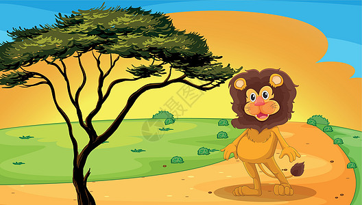 一头狮子站在饶分支机构晴天哺乳动物沙漠绘画天空动物蓝色晶须场景图片