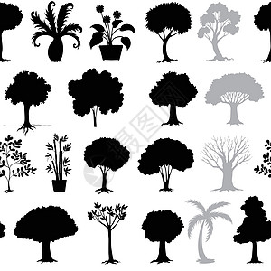 各种树包装分支机构植物草图艺术草药墙纸礼物绘画灰色图片