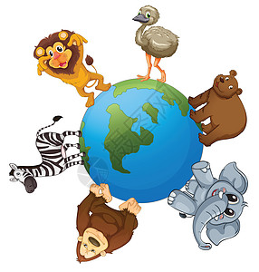 地球上的各种动物草图行星蓝色树干哺乳动物大猩猩狮子条纹球形土地图片