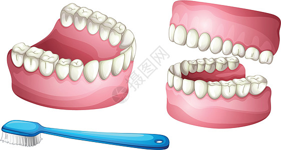 假牙和牙刷草图塑料器官下颌弓牙科牙齿尼龙绘画材料剪贴图片