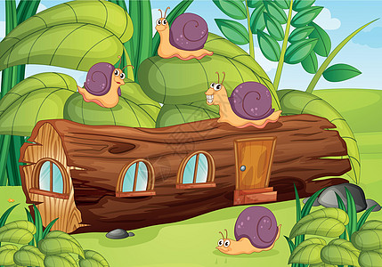 蜗牛和房子微笑朋友们日志花朵缩影绘画动物群卡通片岩石团体图片