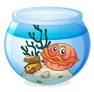 孤立在白色背景上的鱼缸荒野盒子首饰海洋玻璃动物宝藏绘画贮存金子图片