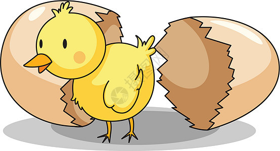 小鸡孵化蛋壳婴儿新生后代黄色生活休息动物卡通片图片