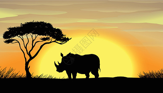 树下的犀牛动物农村草图日落场景哺乳动物比丘犀科土地日出图片
