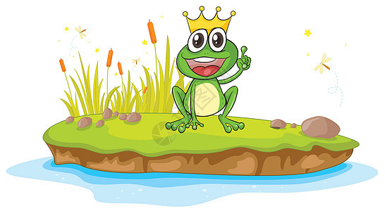 一只青蛙和一只水国王生物植物微笑荒野草图野生动物池塘情绪牙齿图片