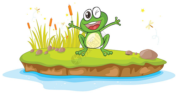 一只青蛙和一只水岩石植物群微笑草地荒野生物动物群池塘情绪乐趣图片