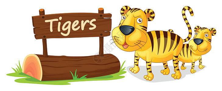 老虎和名牌木板绘画铭牌生物哺乳动物动物卡通片刻字动物园标签图片