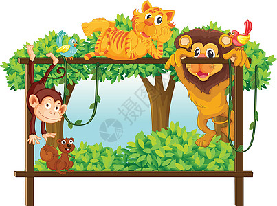 各种动物说谎空格处松鼠团体黑猩猩老虎藤蔓卡通片狮子丛林图片