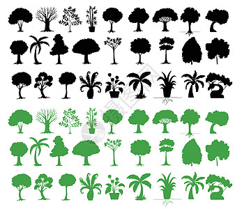 树木种类繁多收藏剪裁树叶绘画分支机构黑色环境剪影植物草图图片