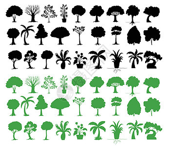 树木种类繁多收藏剪裁树叶绘画分支机构黑色环境剪影植物草图背景图片