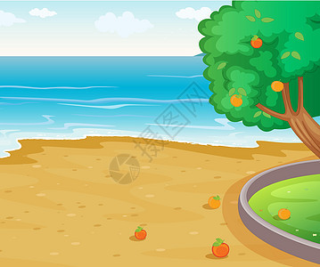 自然风光海滩蓝色庇护所天空花朵丛林花园风景橙子地面图片