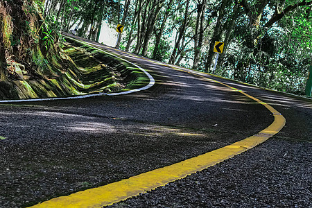 在路边弯曲道路树木和草地场景爬坡路线风景国家街道森林曲线运输旅行图片