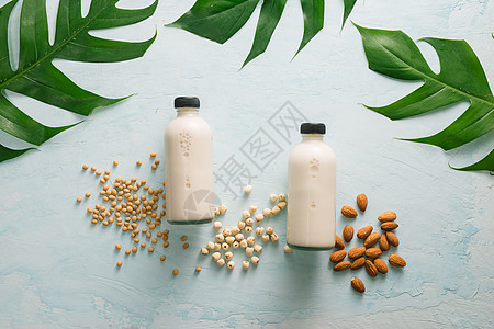 牛奶眼镜 杏仁 大豆和莲花种子 最佳景色瓶子白色营养牛奶饮料饮食坚果奶制品榛子玻璃图片