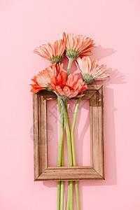 Gerbera 花束和老式木板家装饰房装 带架子的生锈风格背景图片