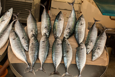 鱼市场上出售的新鲜鱼海洋营养餐厅钓鱼食物健康海鲜盐水图片
