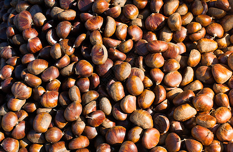 上百个贝壳的栗子在展出小吃季节坚果种子板栗收成宏观食物水果团体图片