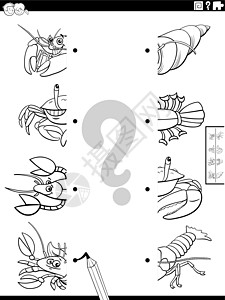 匹配一半的卡通动物图片着色书页活动工作闲暇绘画逻辑游戏幼儿园染色螃蟹插图图片