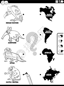 匹配动物和大陆游戏着色书 pag工作簿插图填色本学习测试幼儿园对应秃鹰资产彩书图片