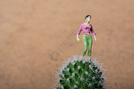 站在仙人掌里站在仙人掌平面上的小女人雕像危险植物卫生男人花园园艺保健植物学疼痛数字背景