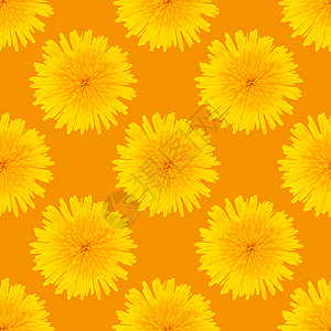 由橙色背景的花朵所制成 无缝模式图片
