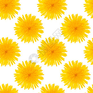 无缝模式由白色背景的花朵所分离而成 白皮黄色花朵形成图片